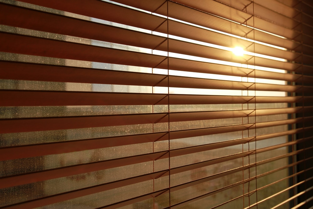 Sunlight entering through blinds