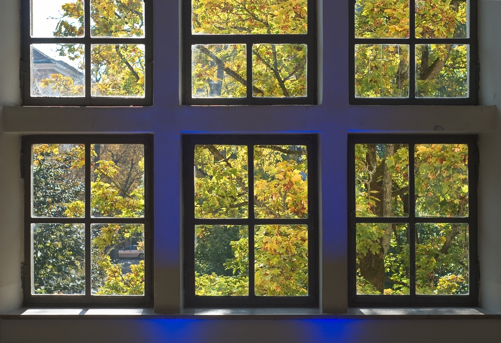 Window looking out on tree in autumn