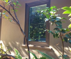 Window