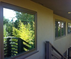 Window