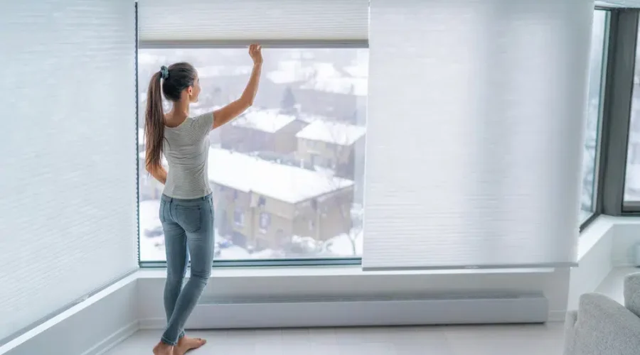 Window-Pleated-Shades.jpg Window-Pleated-Shades