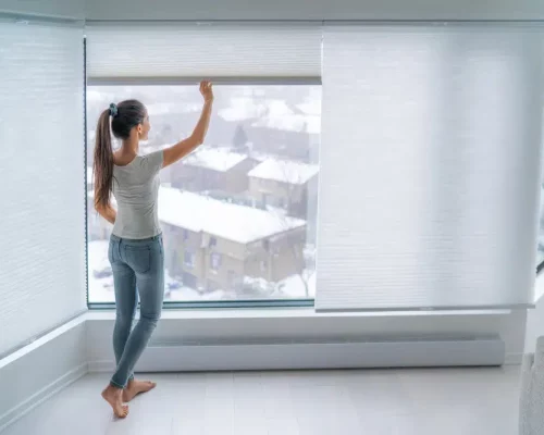 Window-Pleated-Shades